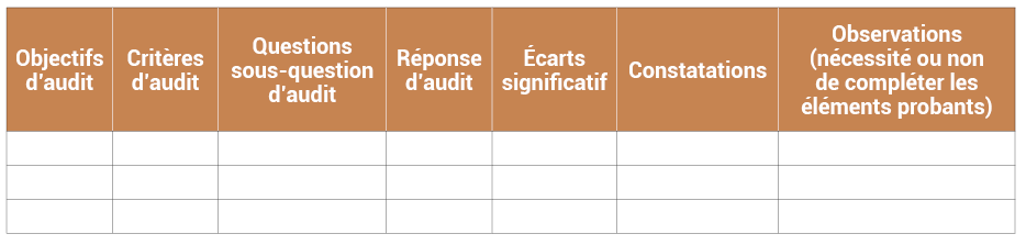 Annexe n°11: Feuille de travail sur les constatations