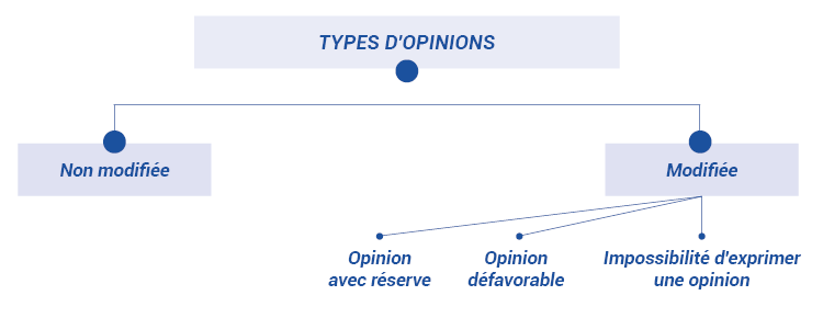 Schéma  4 : Processus de formulation d’une opinion